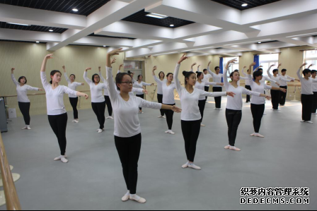 “艺术素养班”舞蹈课程考核汇报及研讨会在京举行